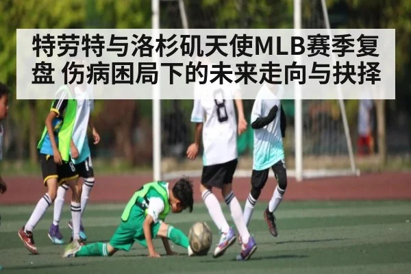 特劳特与洛杉矶天使MLB赛季复盘 伤病困局下的未来走向与抉择 - kaiyun